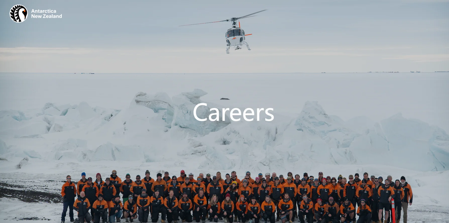 不想朝九晚五？！新西兰南极站正在疯狂招人！