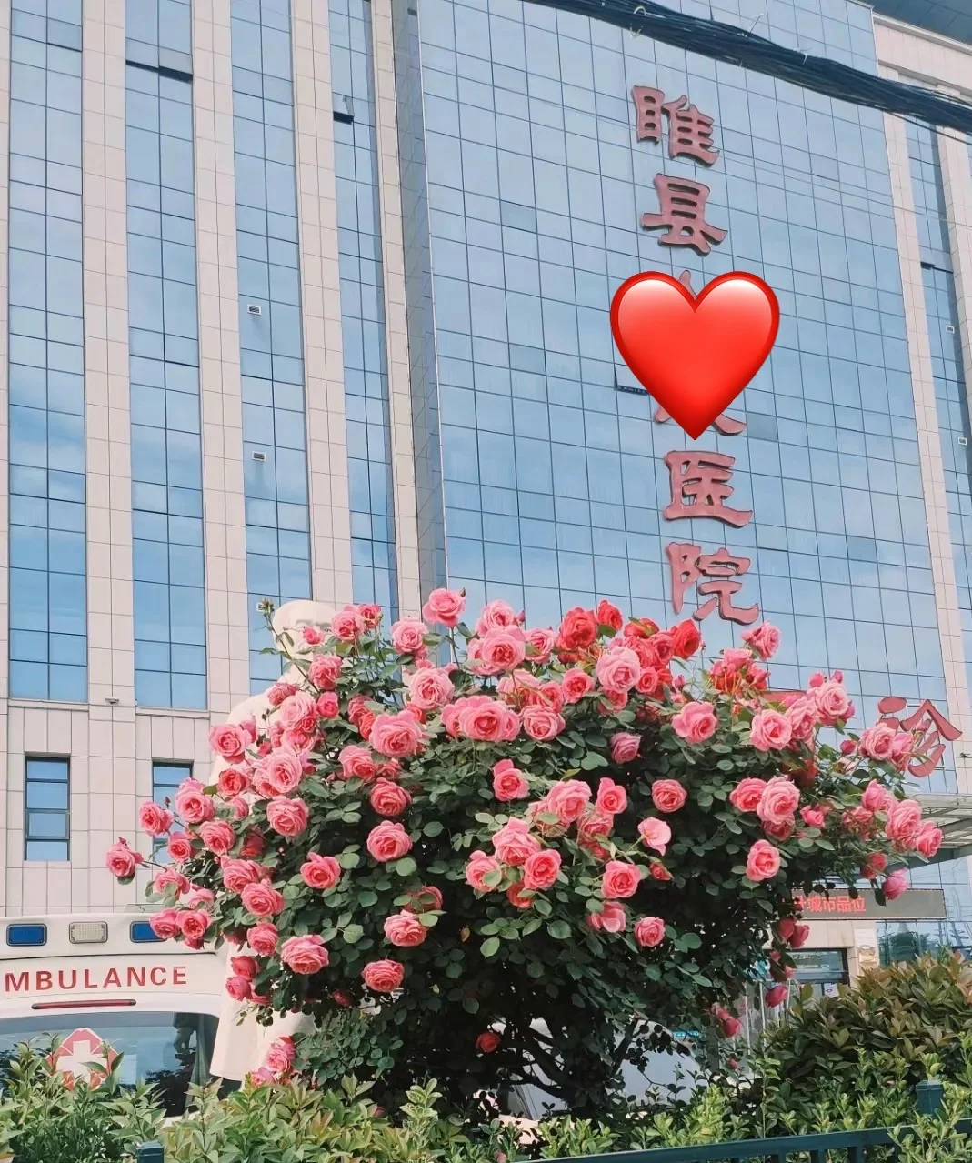 睢县公立🏥：文员缺岗
