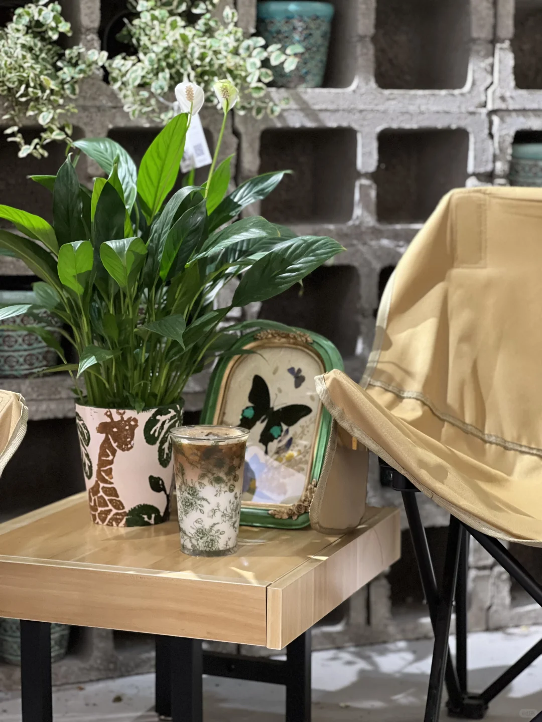 寻找一起向上生长的伙伴🌱