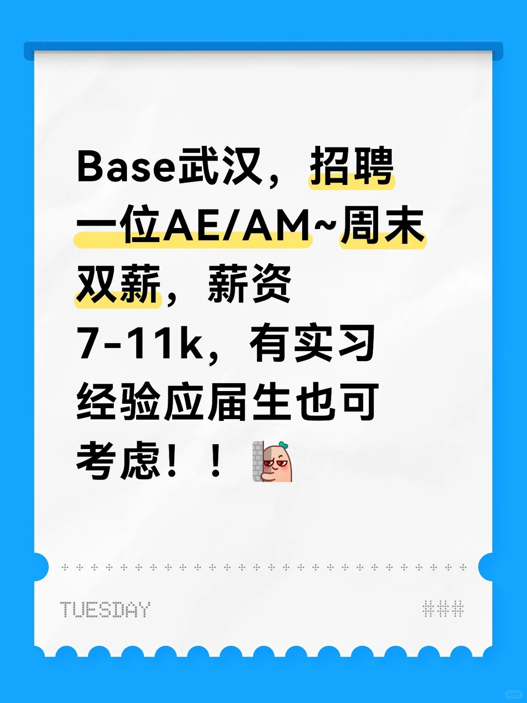 「带宠上班」的团队，等你加入！🐶🐱