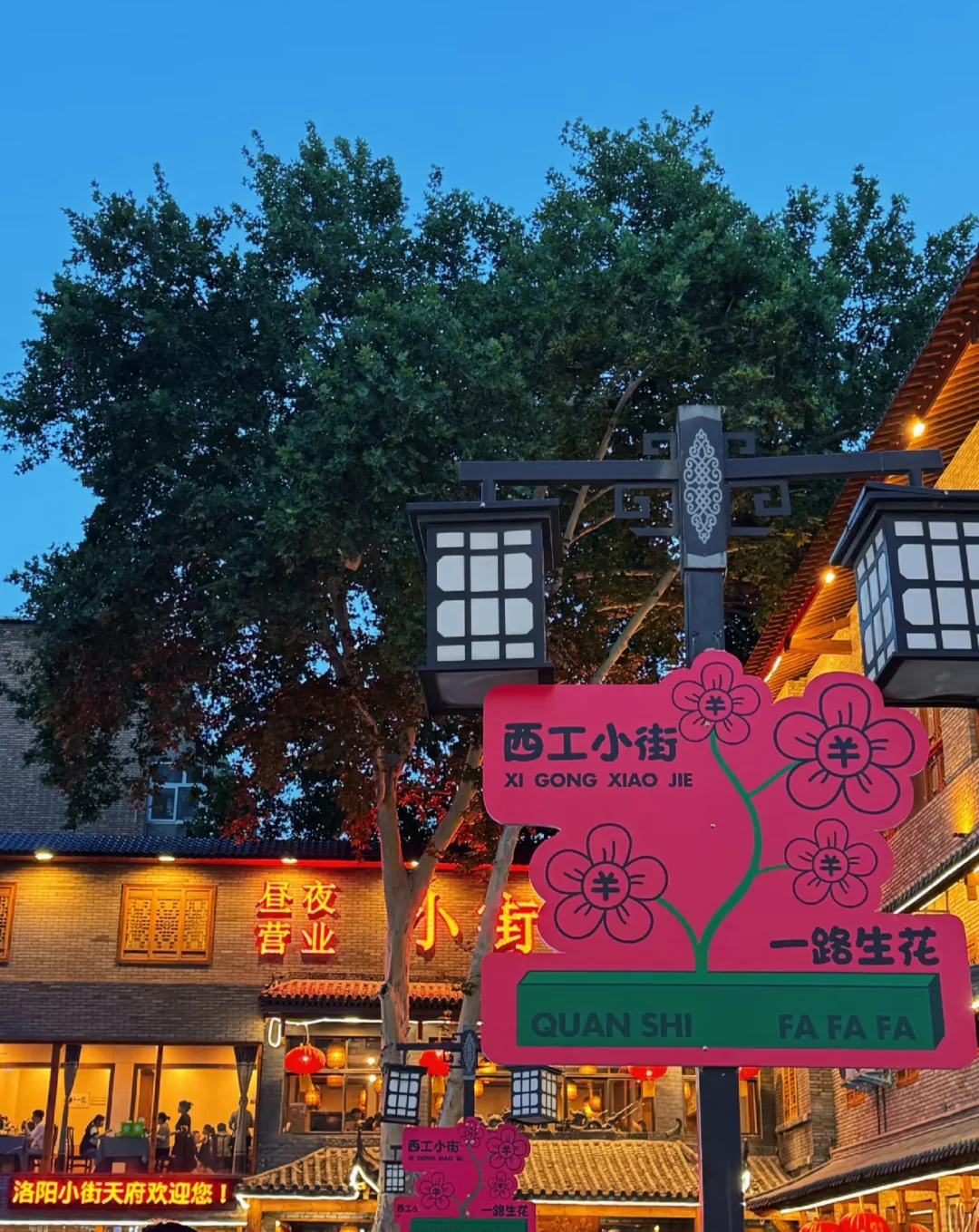 西工区招聘了招聘了