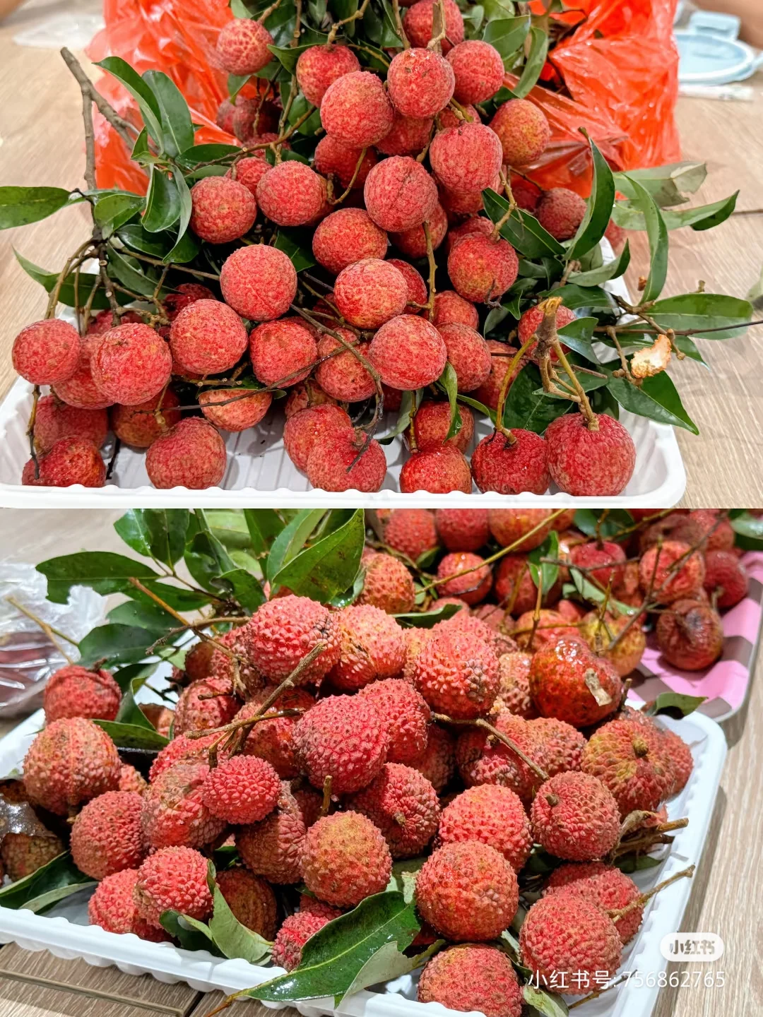 「带宠上班」的团队，等你加入！🐶🐱