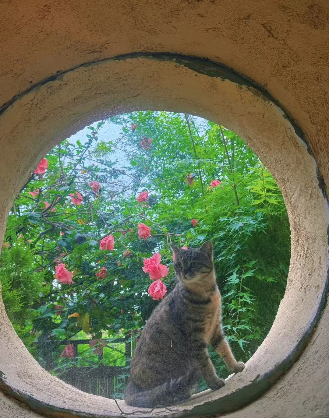 大理民宿招义工！上1休1！不需要打扫卫生