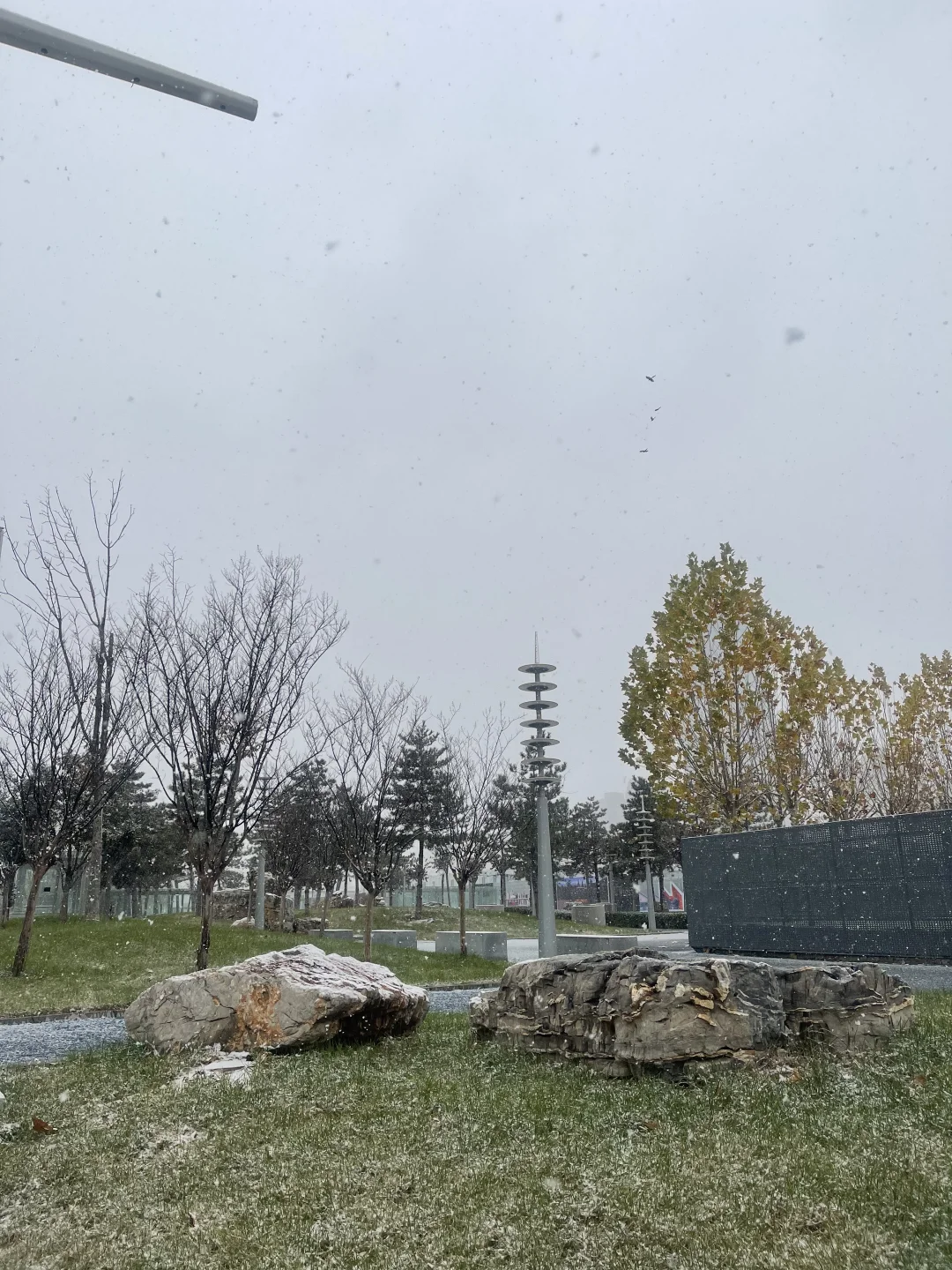 下雪啦❄或许石家庄还有人找工作吗招聘中❗️