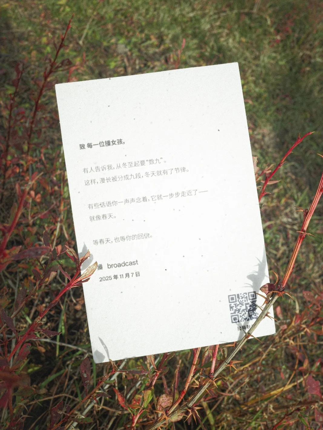 🎁互动｜什么声音，能治愈你的冬天？