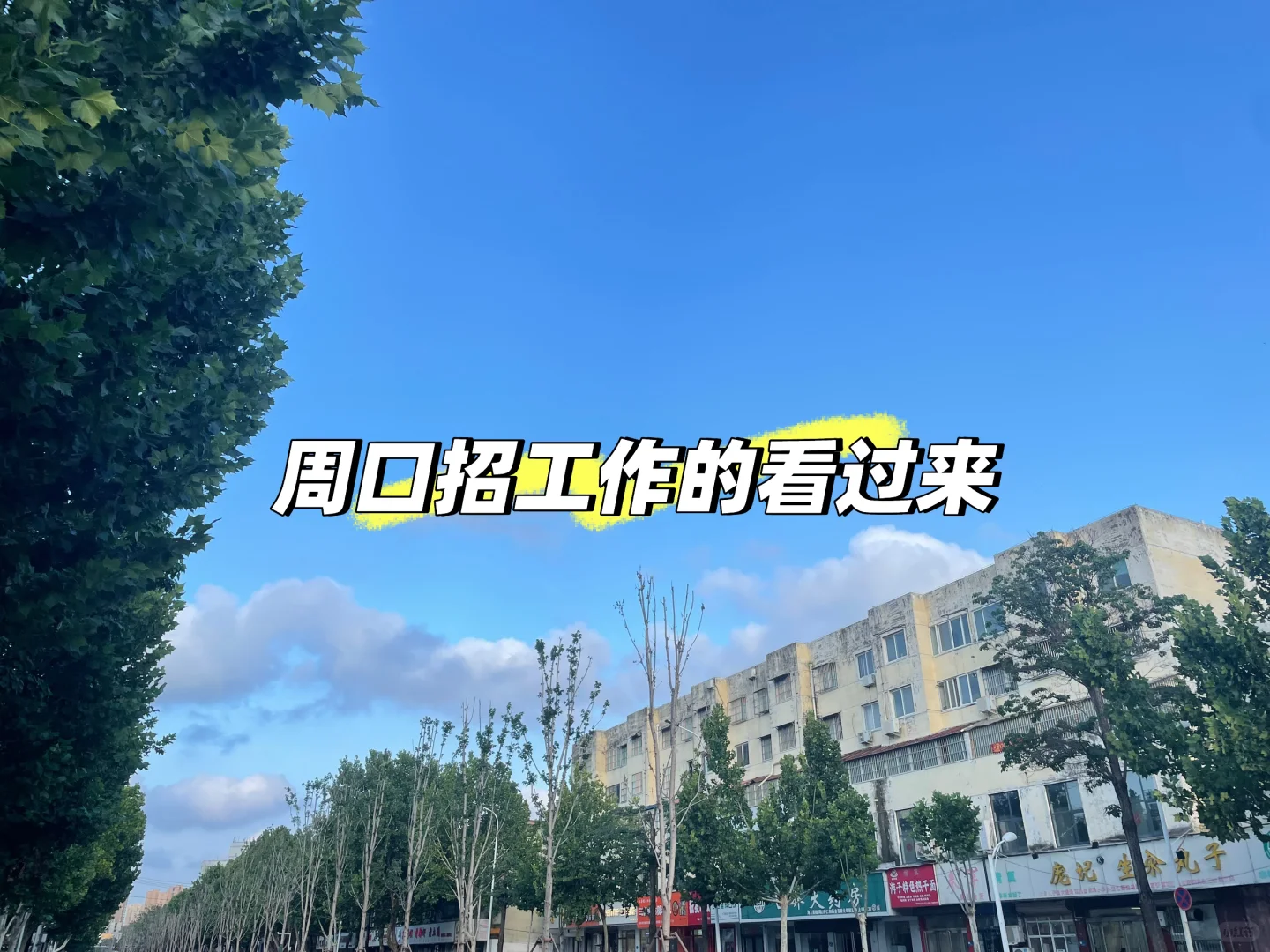 周口川汇区招日结工