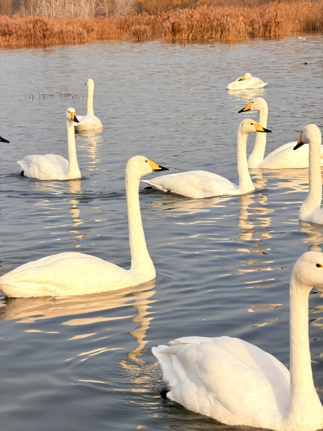 太原招聘！找工作速来！ 快过年了 该出来找工