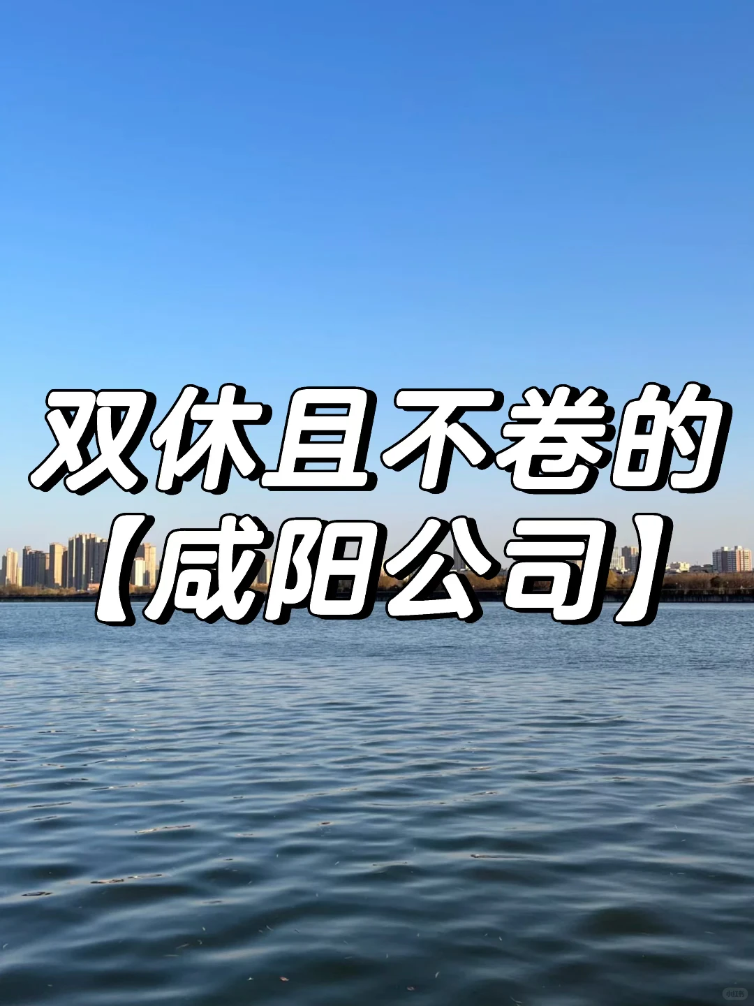 双休且不卷的咸阳公司