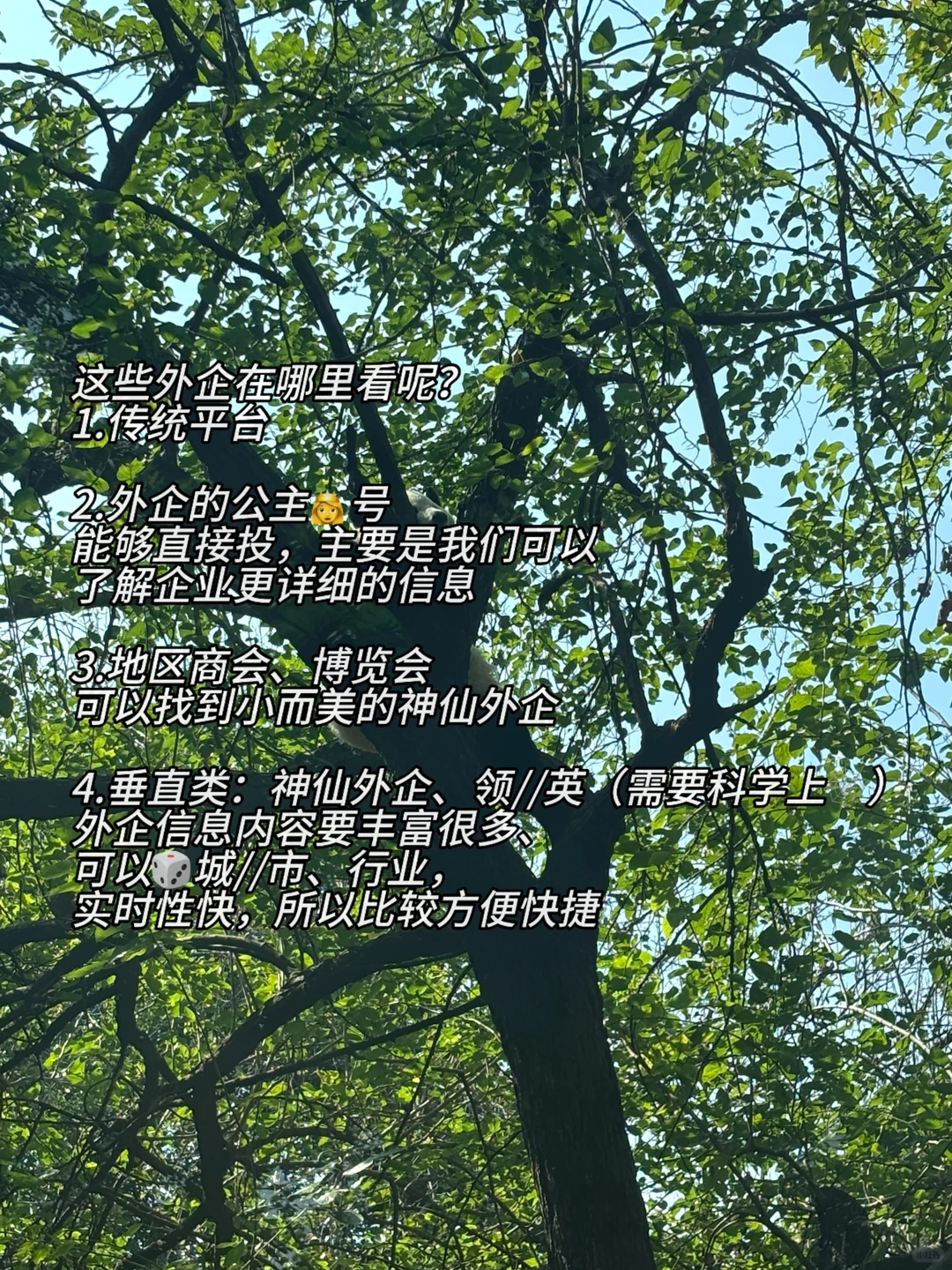 小众但好进的昆明公司