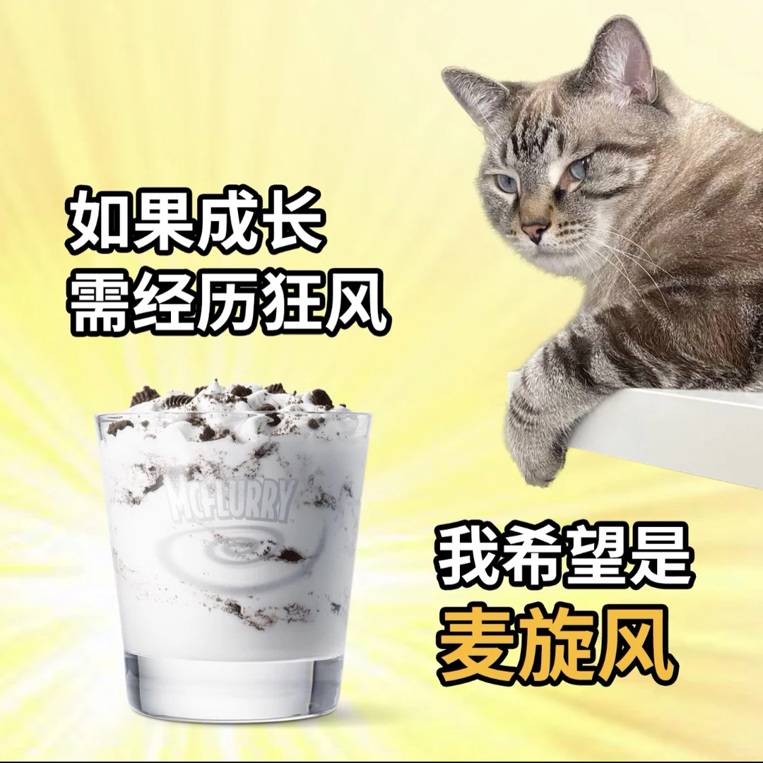 银川麦当劳持续招募ing