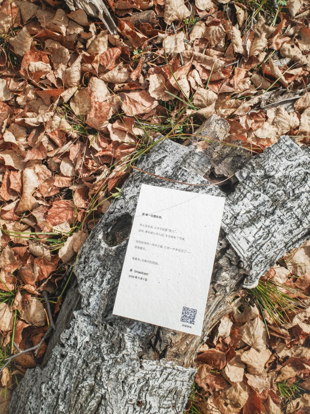 🎁互动｜什么声音，能治愈你的冬天？