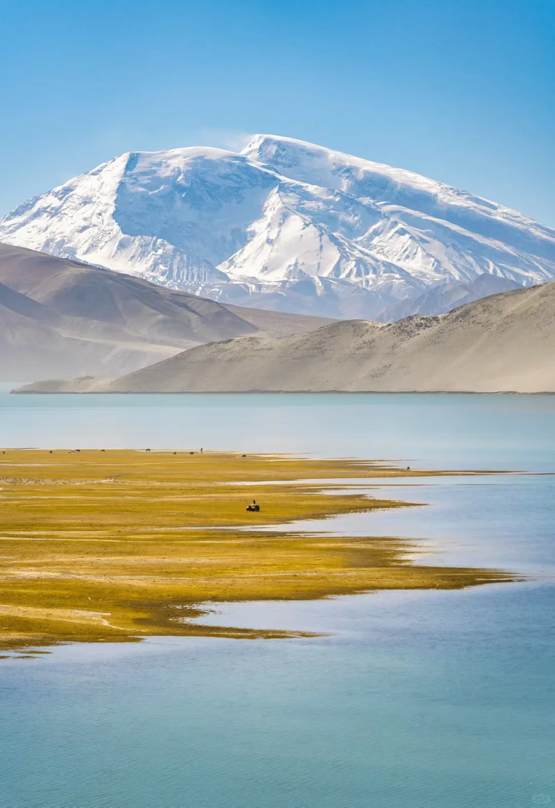 新疆旅行社招聘