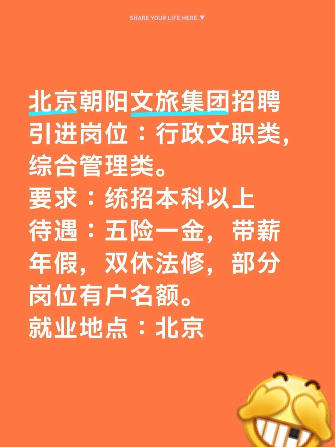 朝阳文旅集团招管培，全日制本科可投