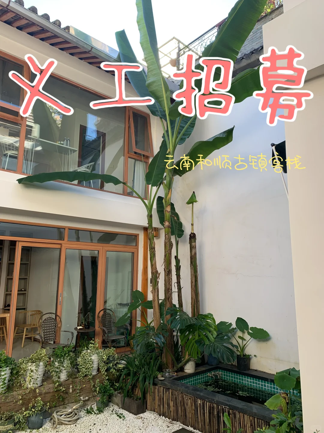 云南和顺古镇义工招募