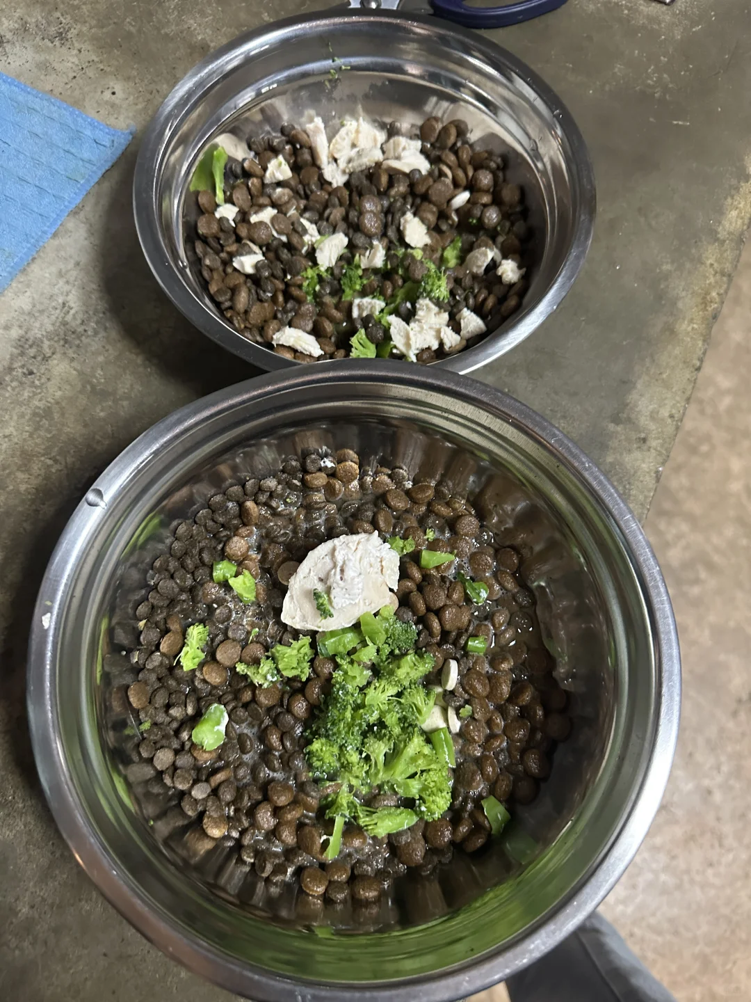 大理古城内两个民宿同时招义工～