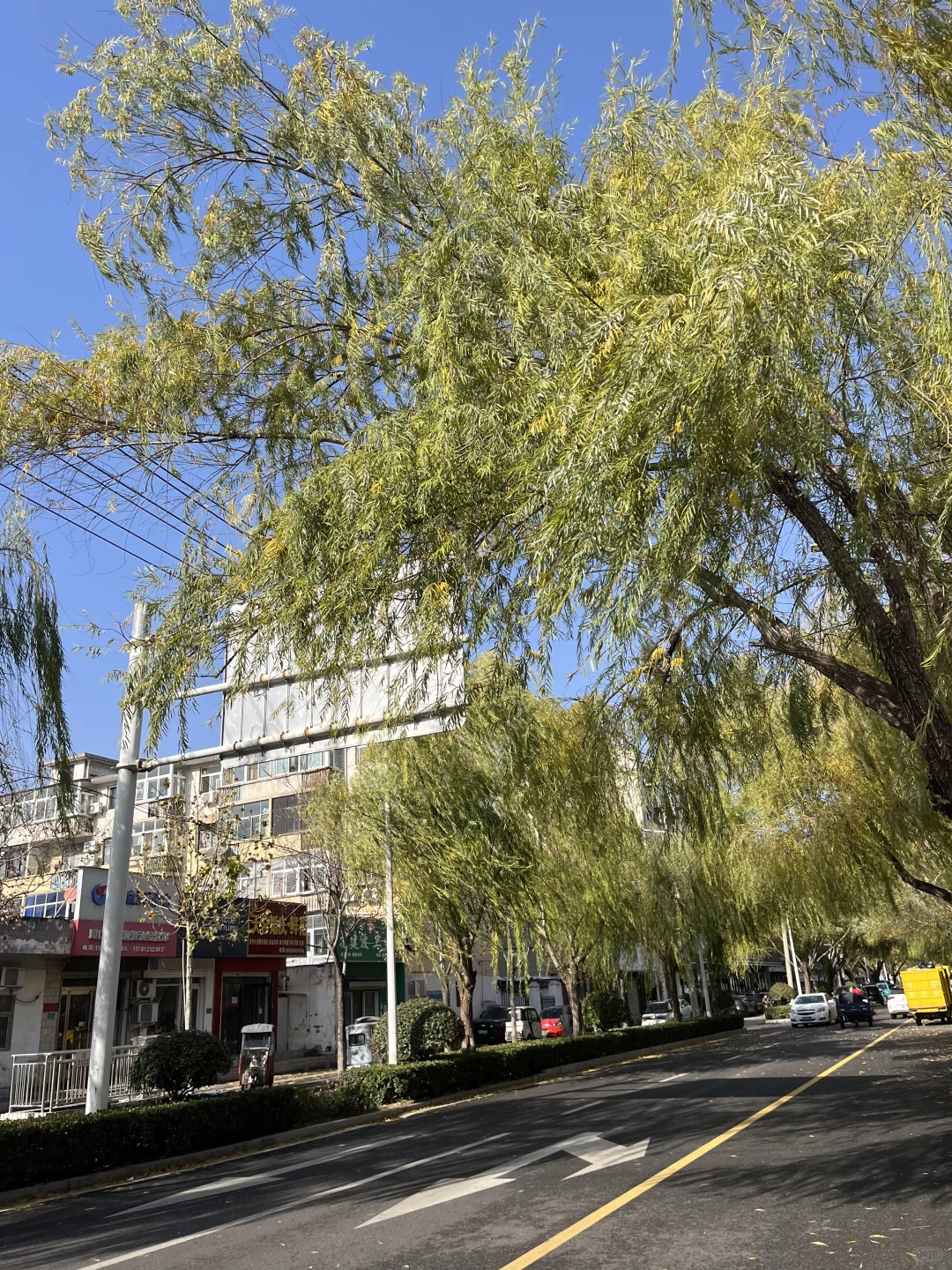 周口城乡一体招教