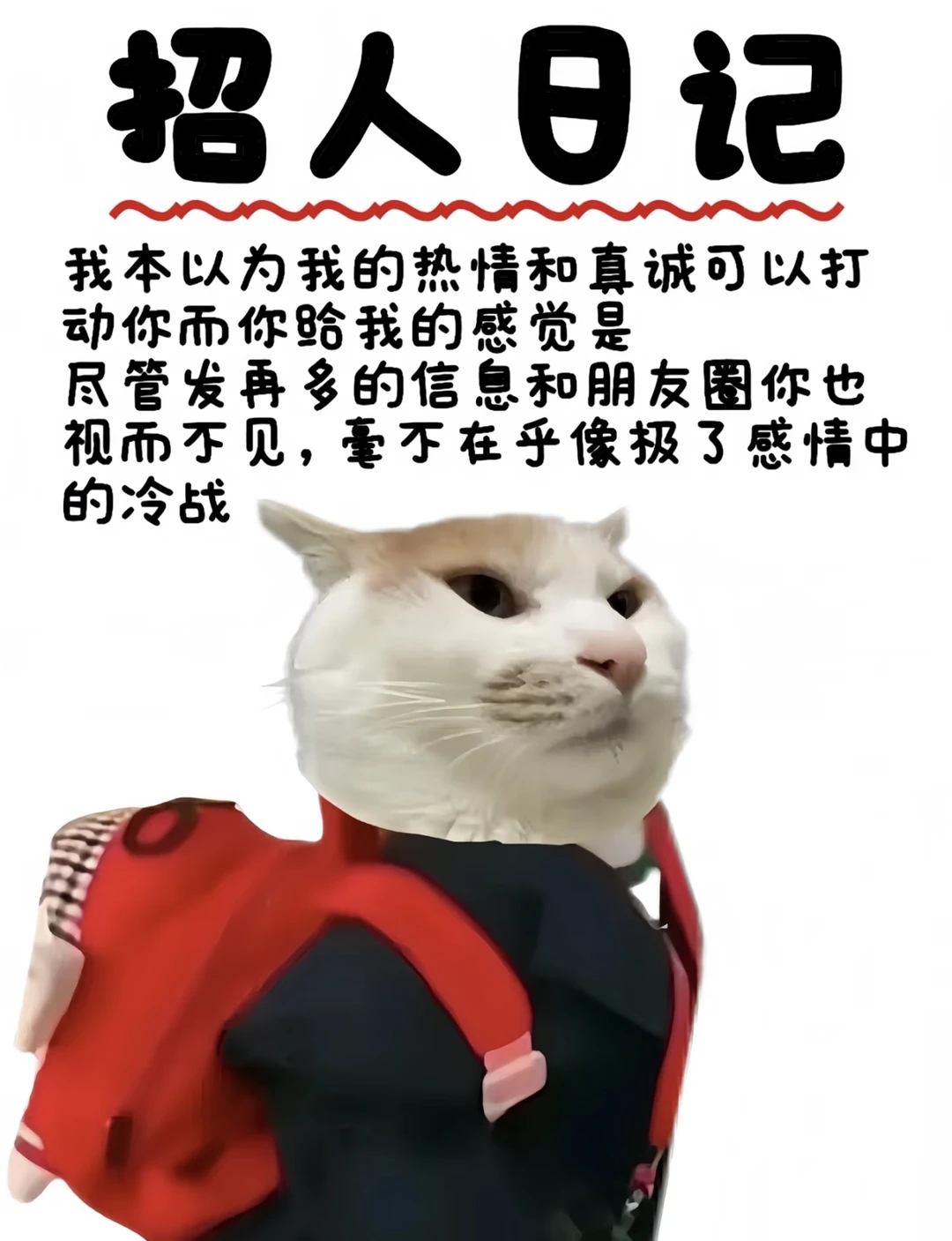 齐齐哈尔本土进厂！爱来不来