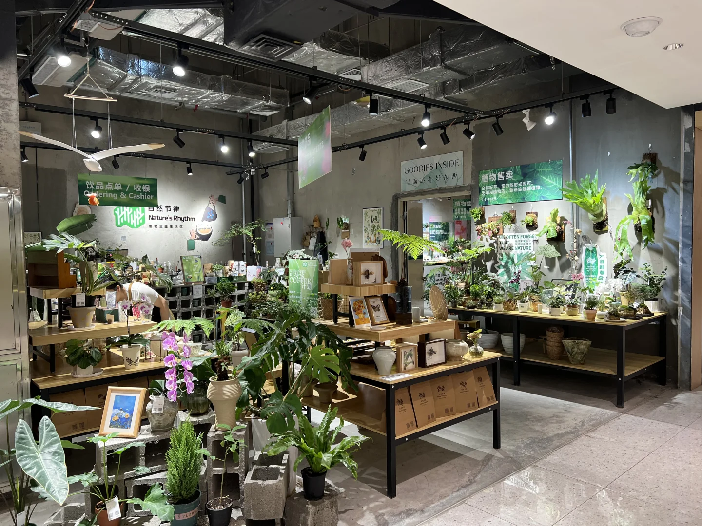 寻找一起向上生长的伙伴🌱