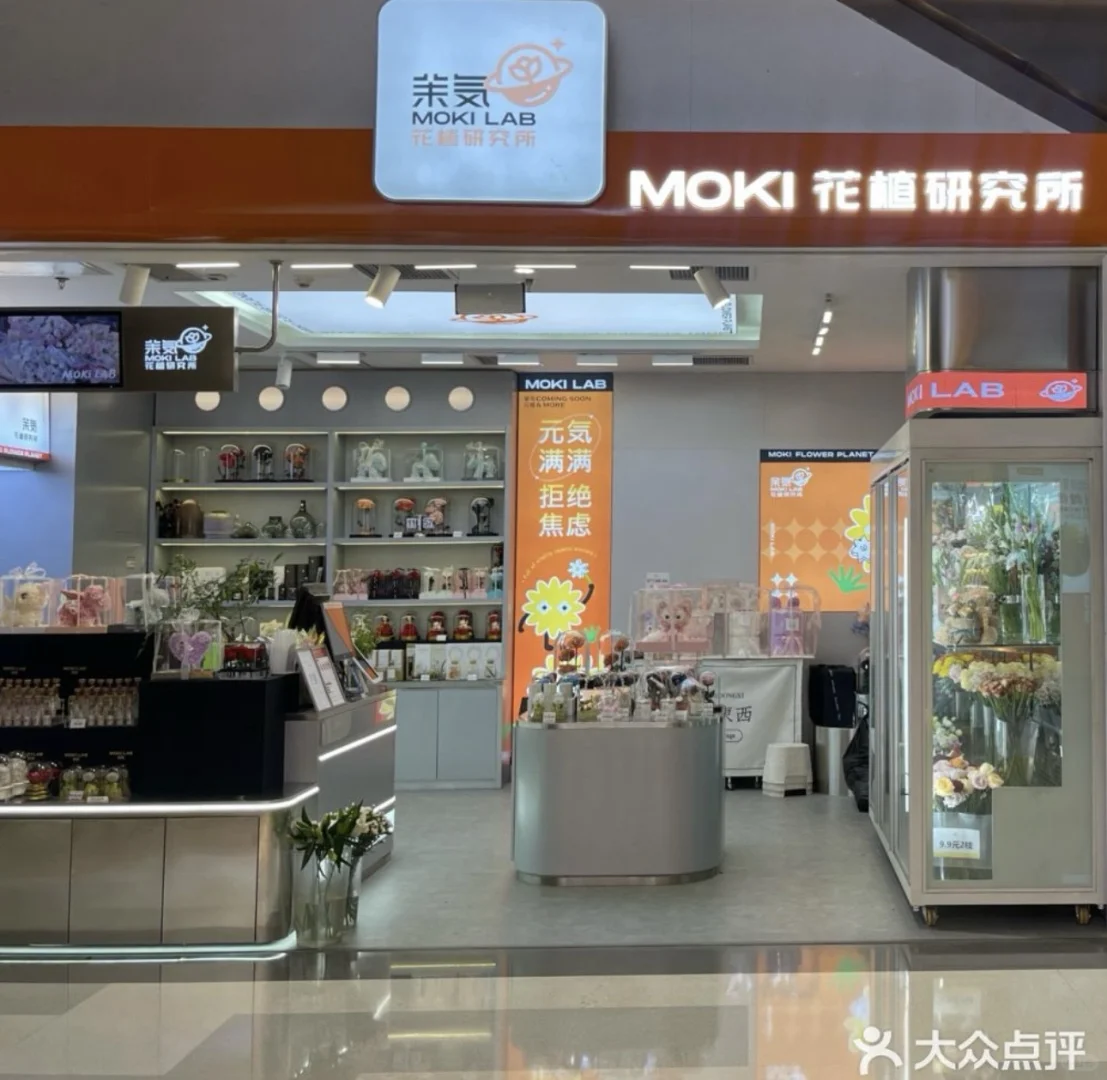 藏在商场里的宝藏店！花猫研究所