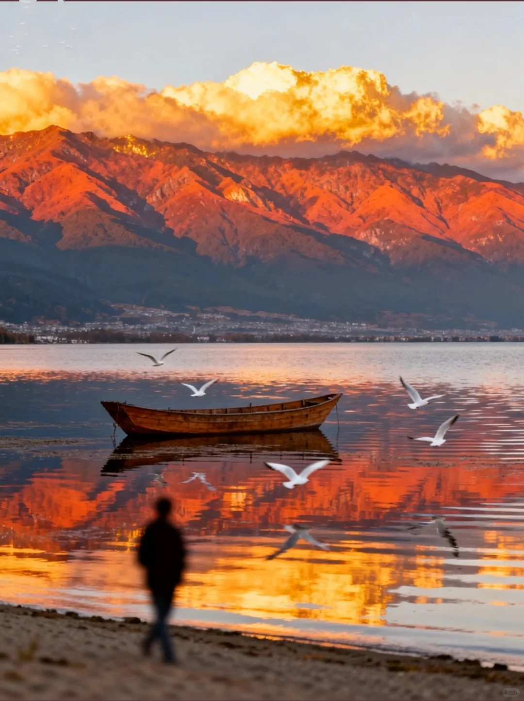 🌿大理义工招募 | 以工换宿 | 单间住宿