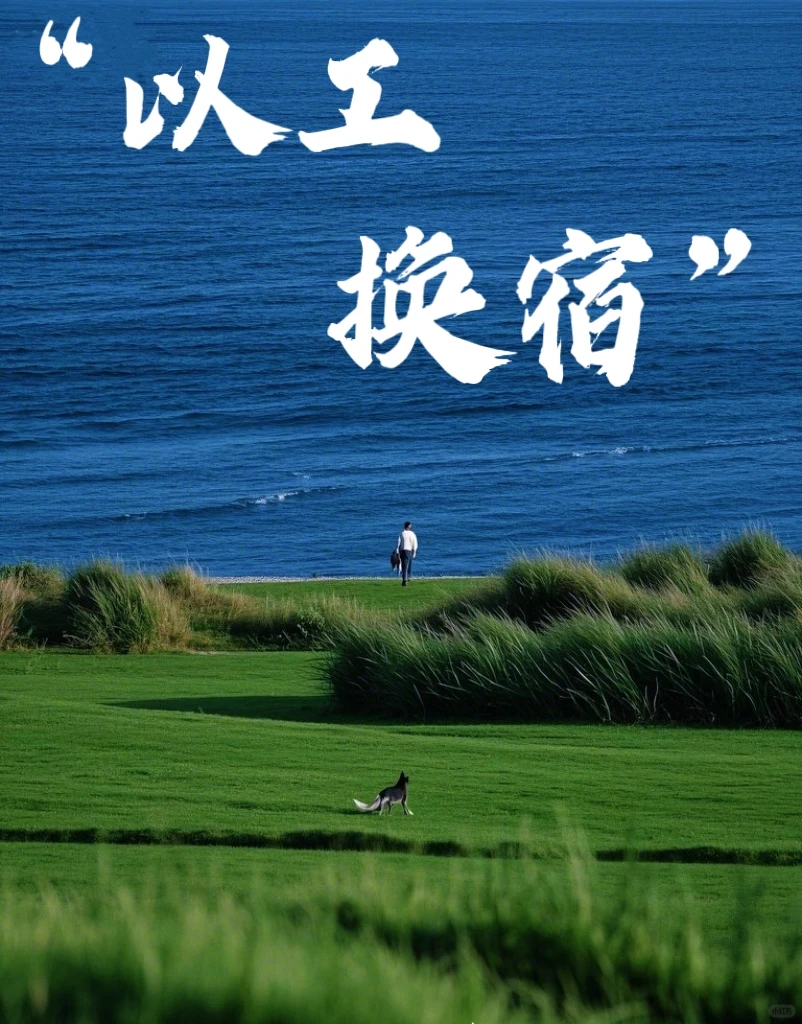 🌿大理义工招募 | 以工换宿 | 单间住宿