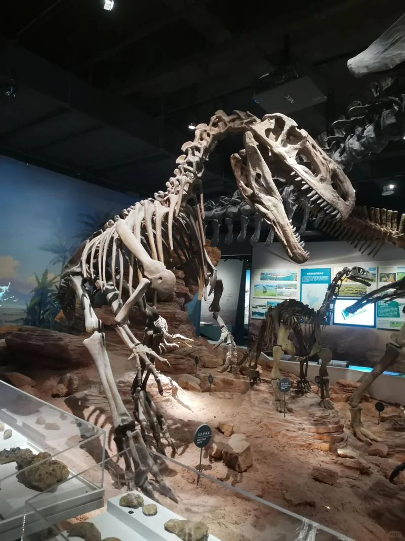 贵阳博物馆工作240/天