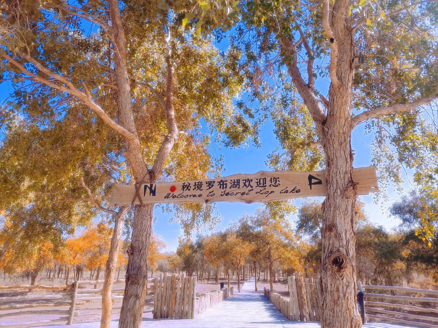 新疆旅行社招聘