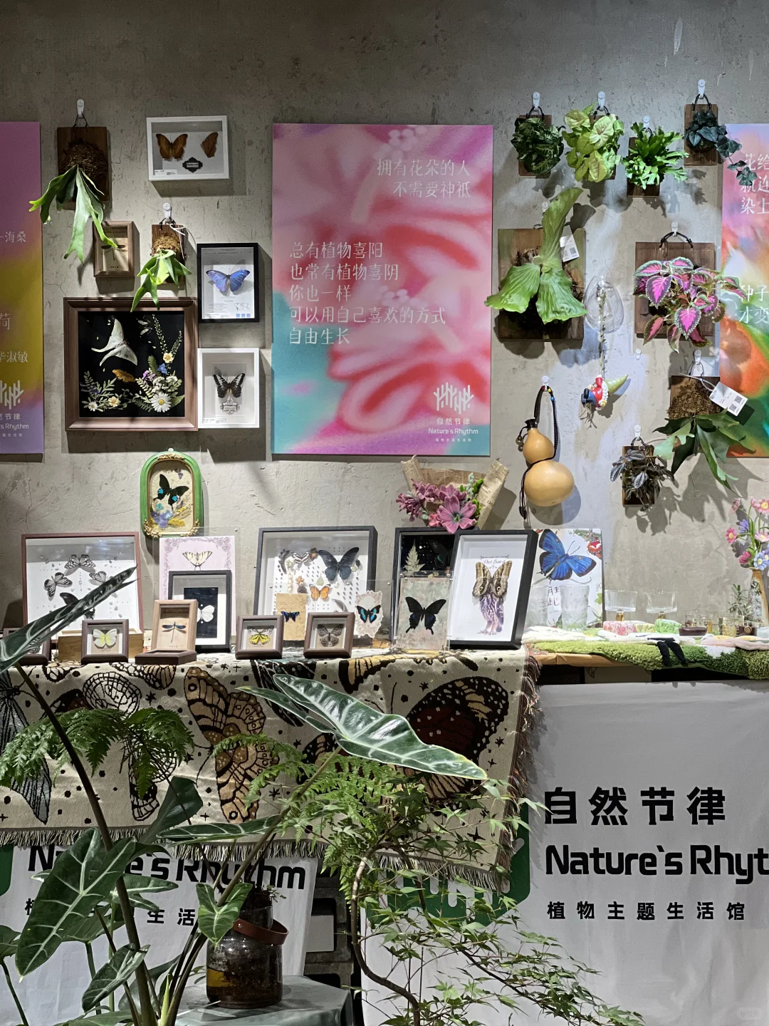 寻找一起向上生长的伙伴🌱