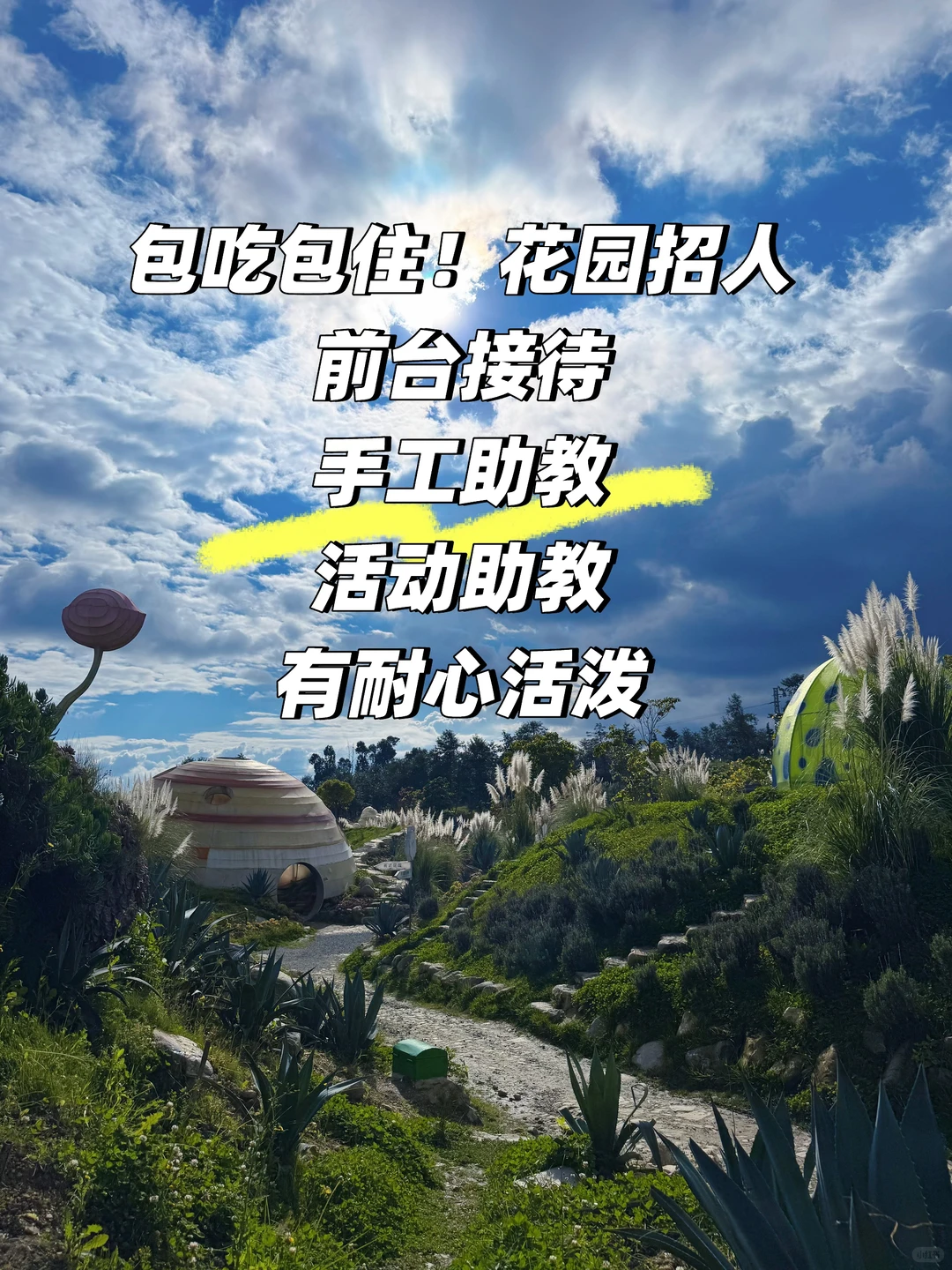 大理找工作的看过来！男生女生本地人优先