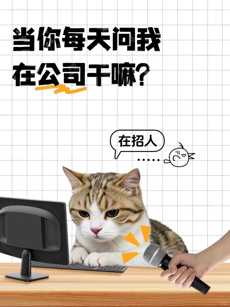 牡丹区内招兼职，强者的一天:选一个身份去上