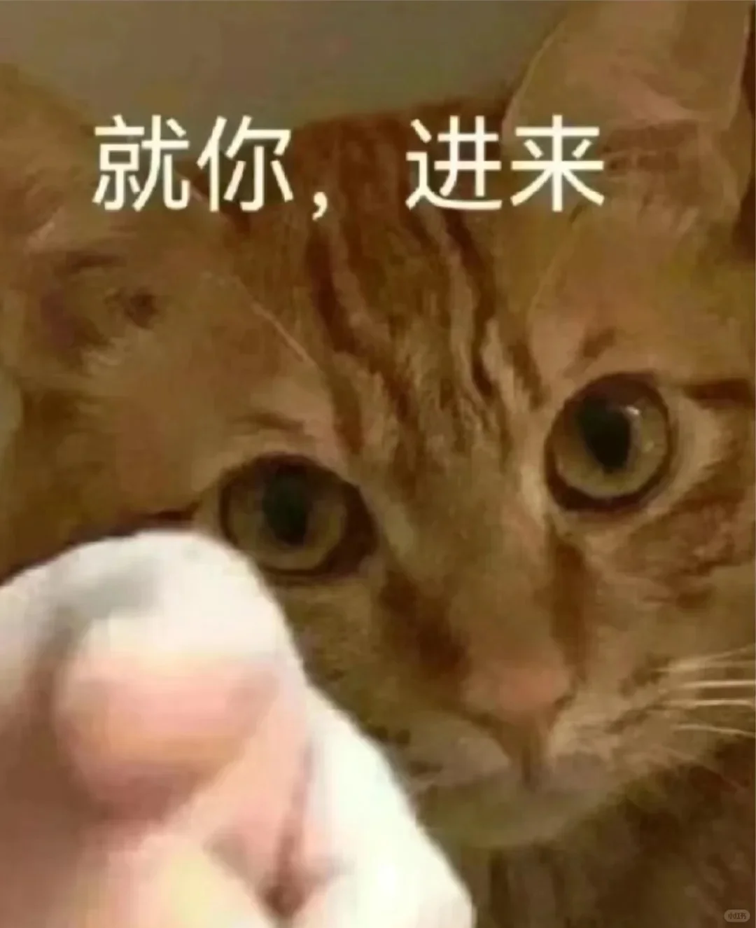 招不到人的时候，没有一个候选人是无辜的