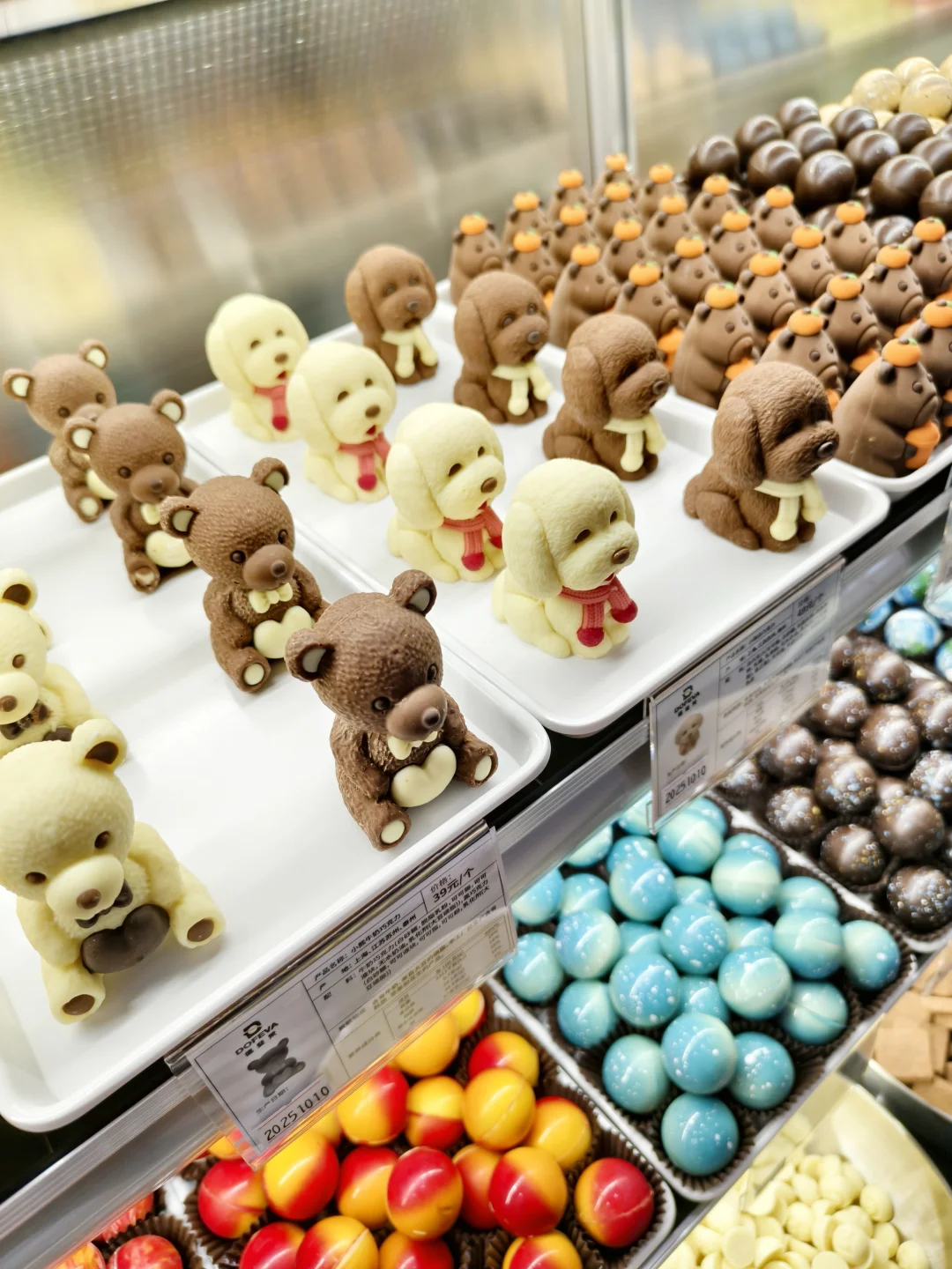 我们开始招聘了