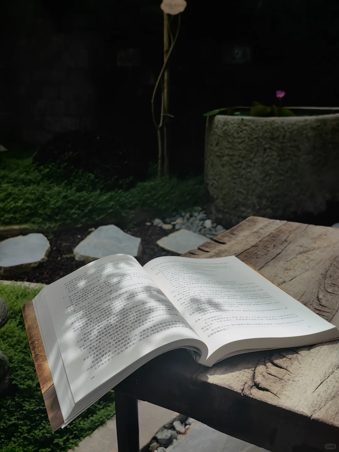 快来快来，云南腾冲义工招聘啦