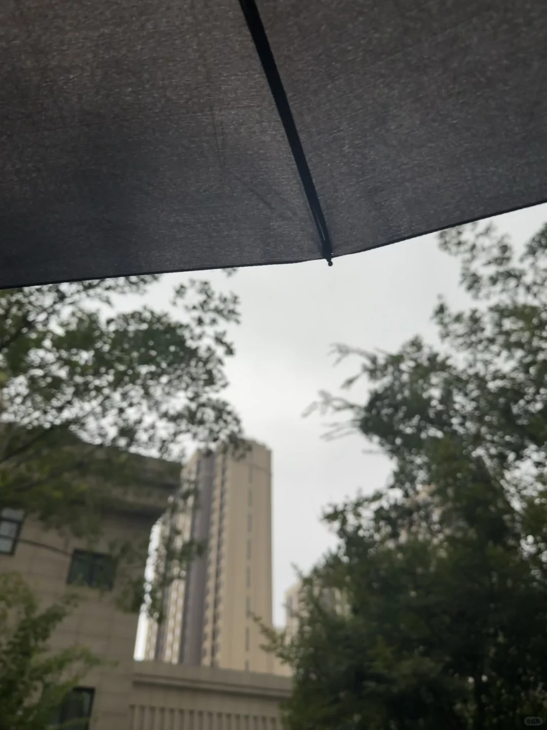 南阳市兼职，一天 200+