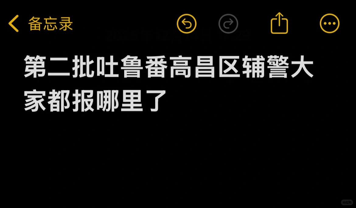 吐鲁番高昌区辅警