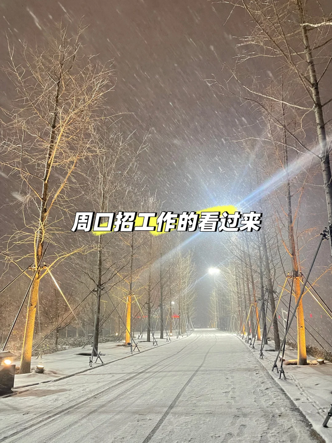 周口川汇区日结