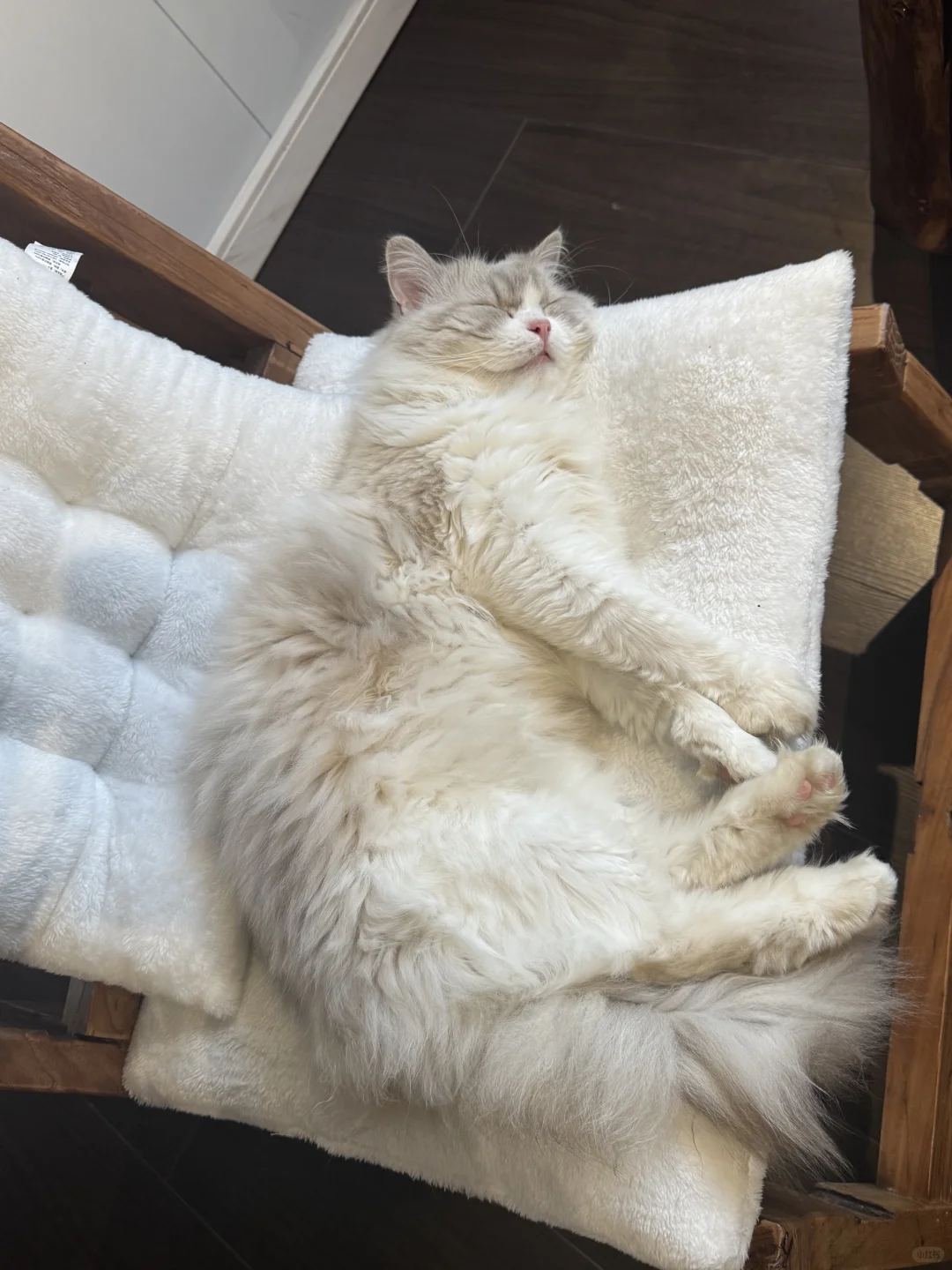 平顶山｜招聘 全职兼职皆可