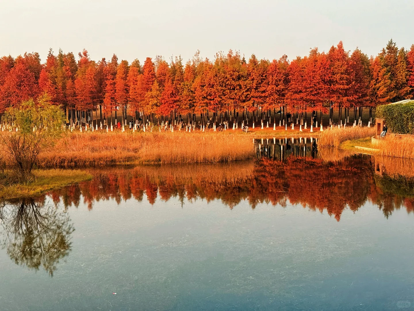 湘潭潮漫酒店招人啦