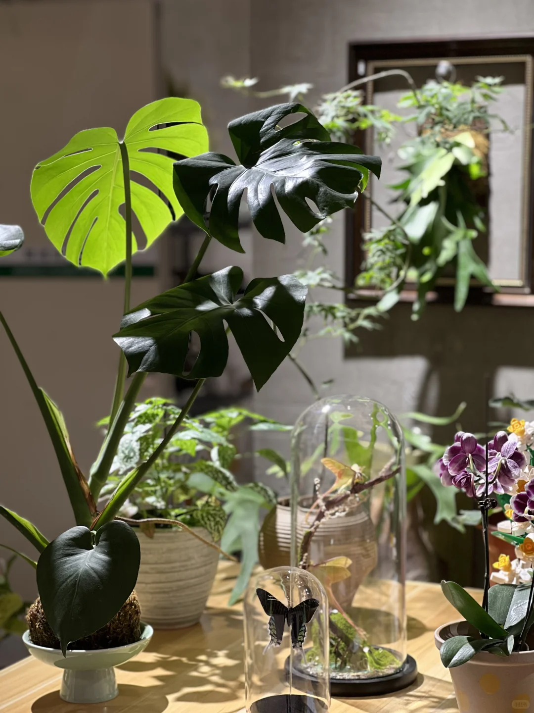 寻找一起向上生长的伙伴🌱