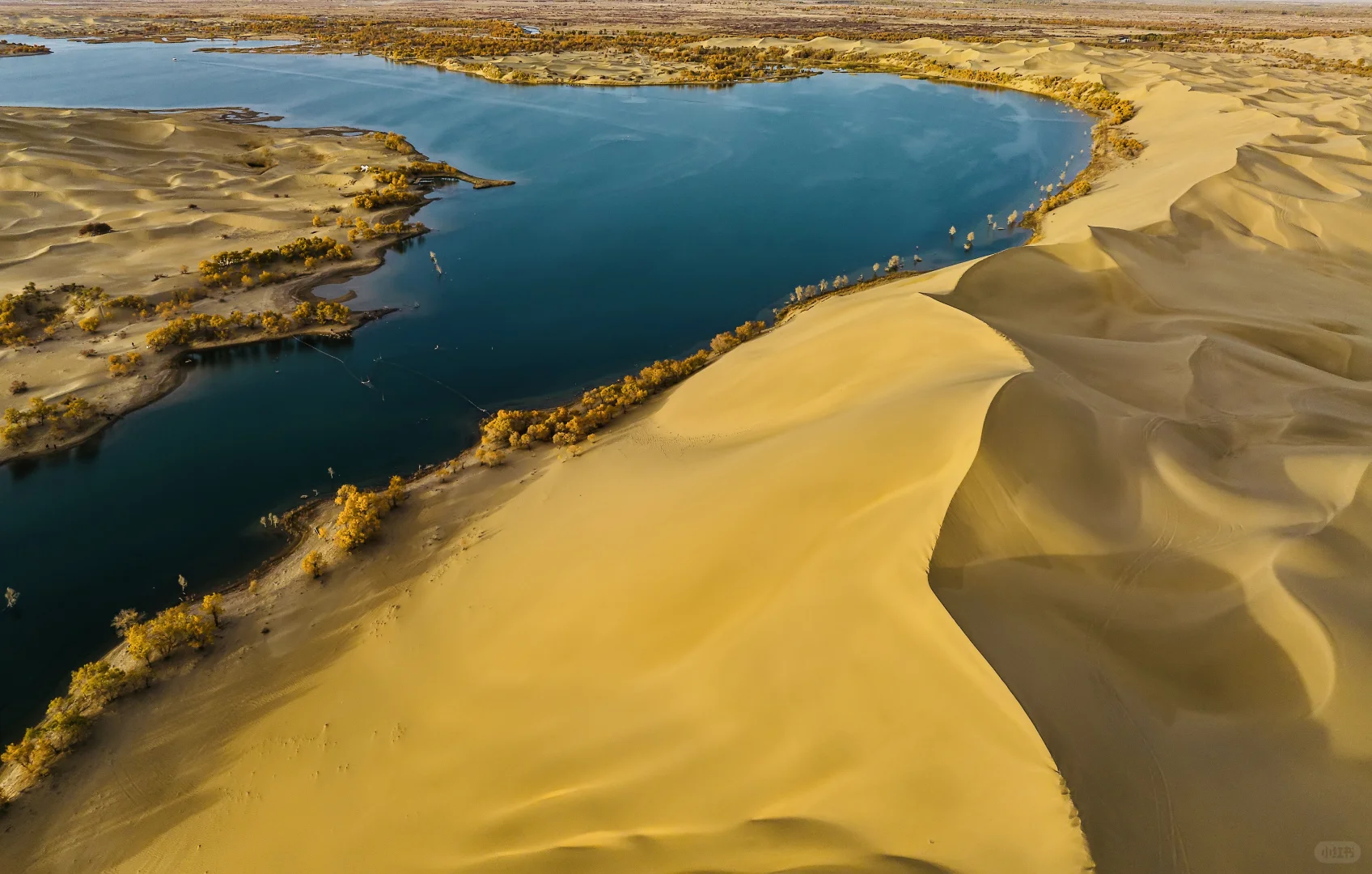 新疆旅行社招聘