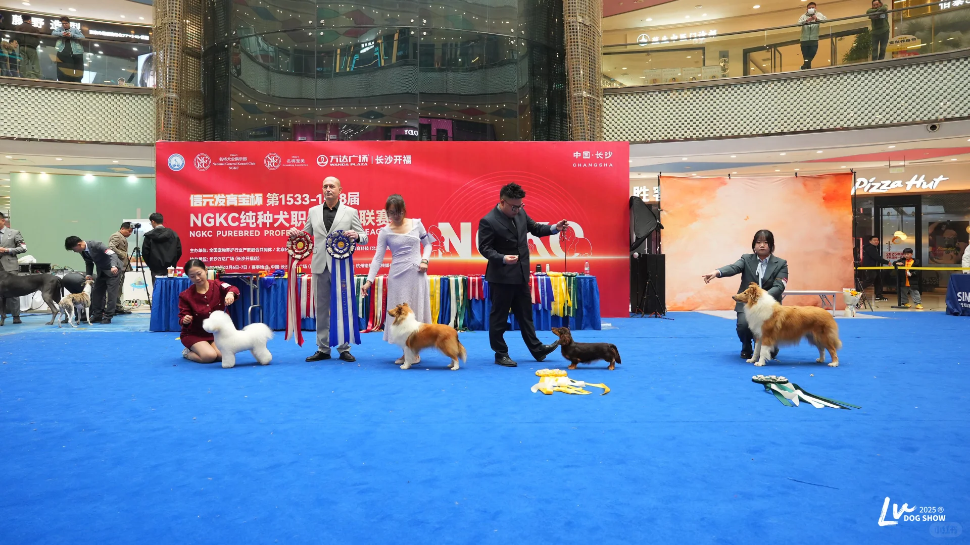 招人！饲养员和半工半读都招！