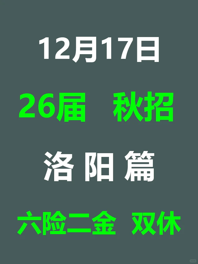 12.17 洛阳家门口的秋招爆发，岗位真多啊