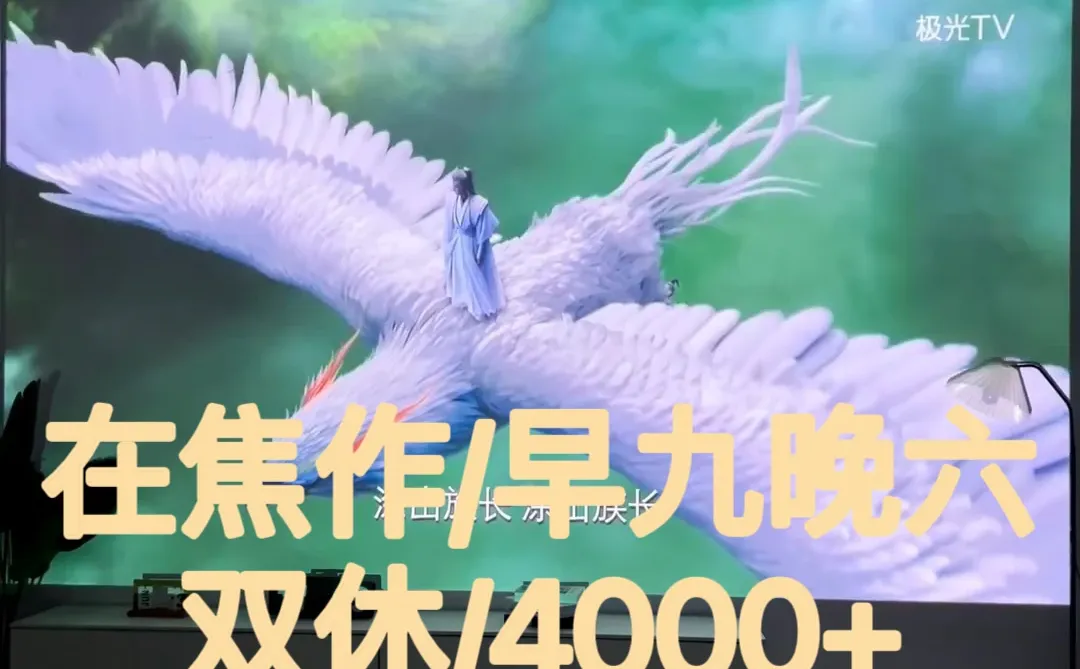 焦作！！双休！！