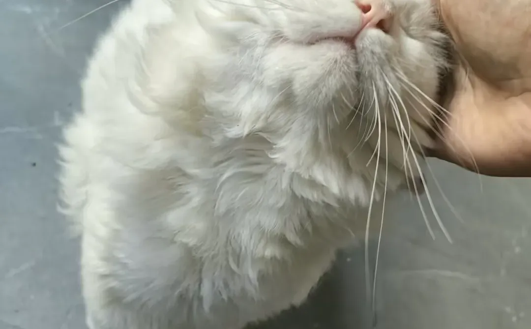 邵阳市双清区招人