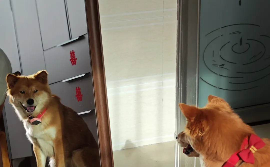 邵阳大汉悦中心火锅全职招聘