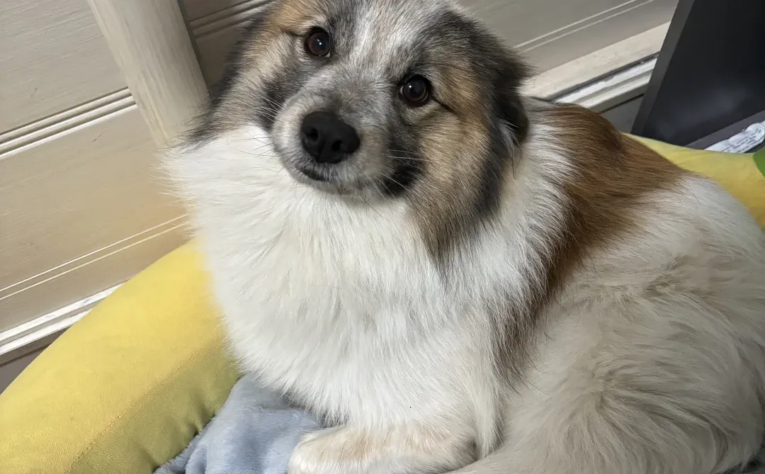 洛阳招人啦！！！！