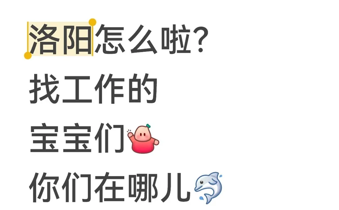 没招啦！洛阳找工作宝宝们在哪里