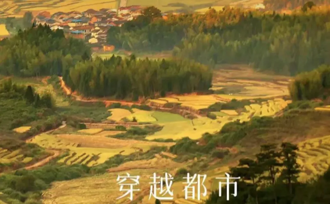 新乡宝龙｜谷予清田招聘！