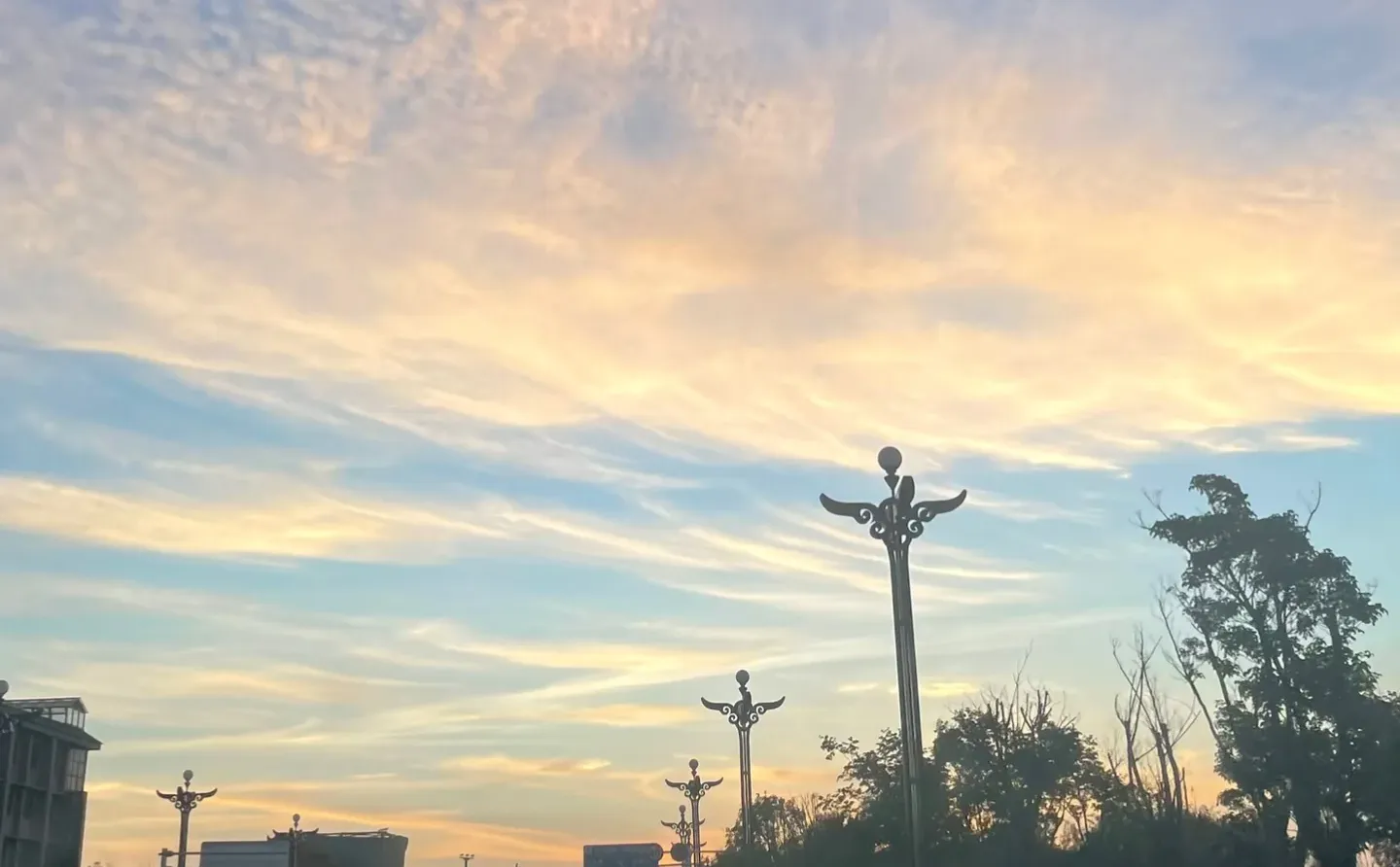 商丘总部港招人！