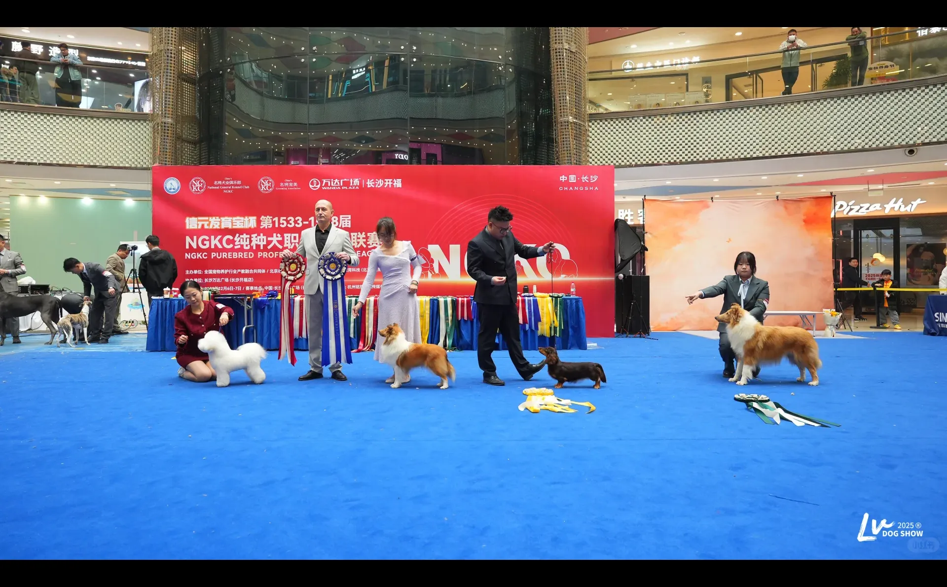 招人！饲养员和半工半读都招！